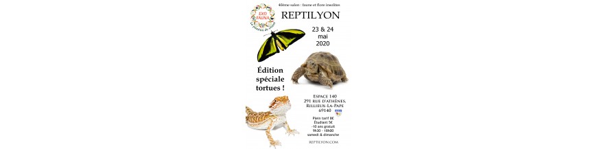 REPTILYON (69) bourse terrariophile ANNULEE