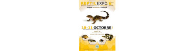 REPTILEXPO (33) Bourse terrariophilie