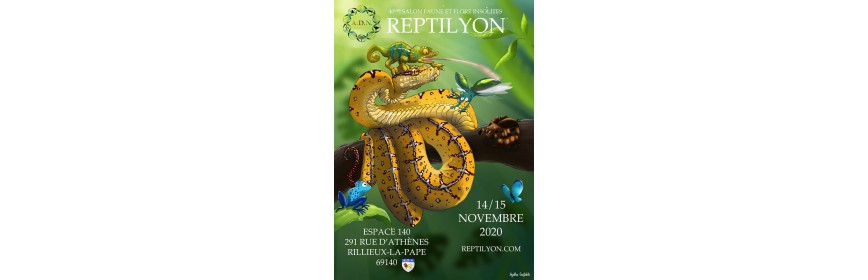 REPTILYON (69) bourse terrariophile