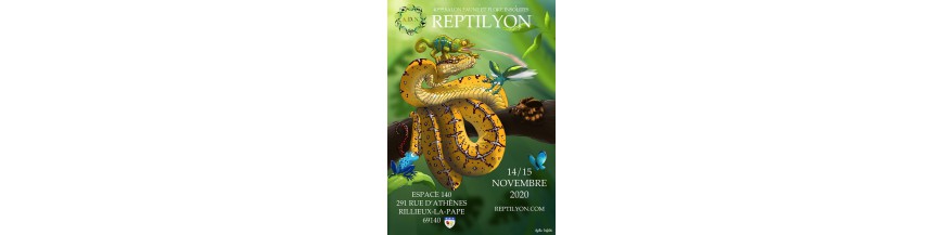 REPTILYON (69) bourse terrariophile