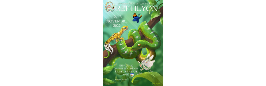 Reptilyon (69) bourse terra