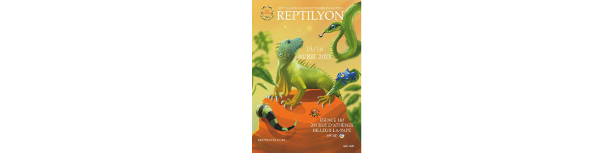 Reptilyon (69) bourse terra