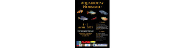 Aquarioday normand (76) Rouen