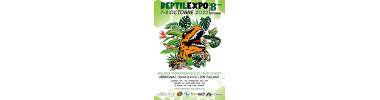 Reptilexpo (33) bourse terra