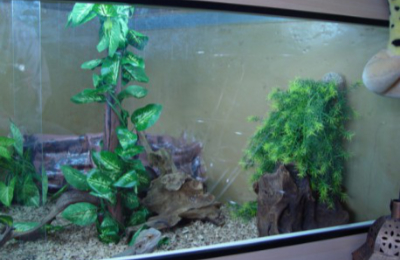 Terrariums