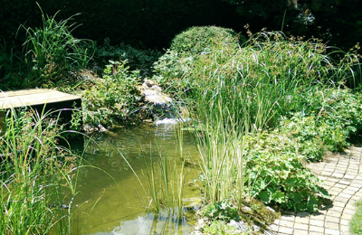 Bassin de jardin