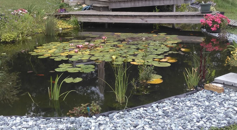 Bassins de jardins